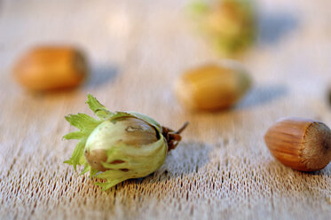 Hazelnuts - ASF01613