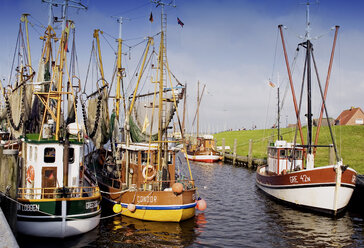 Cutter, harbour of Greetsiel, East Frisia, Germany - BSF00088