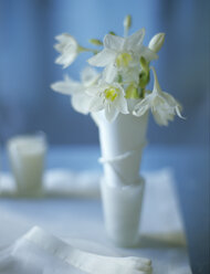 Eucharis in Vase - HOEF00020