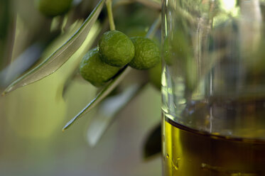 Olives and oliveoil - ASF01689