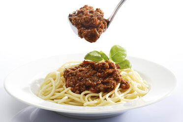 Spaghetti Bolognese mit Parmasankäse - 02865CS-U