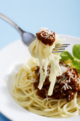 Spaghetti mit Bolognese-Sauce, Nahaufnahme - 02863CS-U