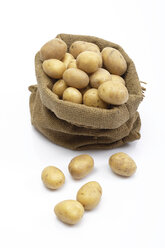 Kartoffeln im Sack, Ansicht von oben - 02849CS-U
