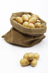 Potatoes - 02848CS-U