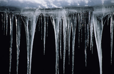 Icicles - SHF00065