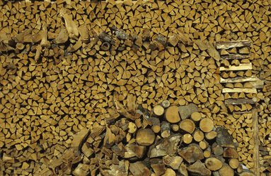 Firewood - SHF00062