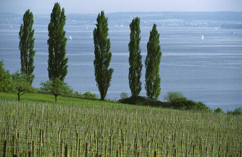 Deutschland, Bayern, Boot auf dem Ammersee, lizenzfreies Stockfoto