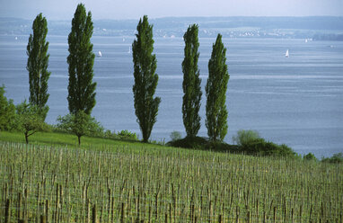 Deutschland, Bayern, Boot auf dem Ammersee - GNF00733