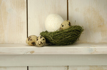 Ostereier im Nest auf dem Regal liegend - ASF01830