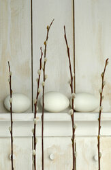 Ostereier auf einem Regal mit Weidenzweigen liegend - ASF01822