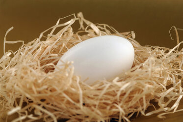Egg in straw nest, close-up - ASF01976