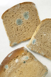 Moulded bread - THF00154