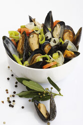 Freshly prepared mussels in bowl - 02919CS-U