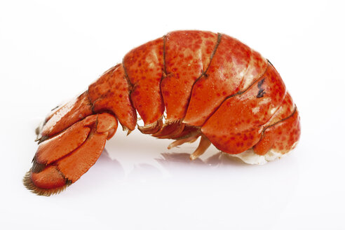 Lobster tail - 02879CS-U