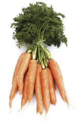 Bunch of fresh carrots, elevated view - 03063CS-U