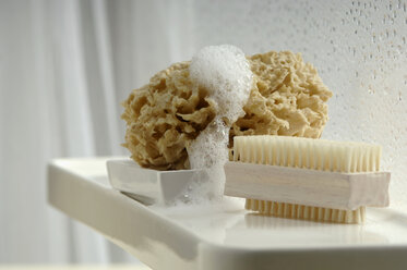 Nailbrush and sponge in bathroom - ASF02010