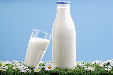 Milchflasche und Glas Milch, Nahaufnahme - 03167CS-U