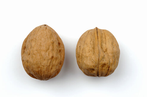 Two walnuts - ASF02098