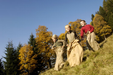 Three boys (8-11) in sack race, low angle view - HHF00391