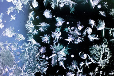 Ice crystals, close-up - 03362CS-U