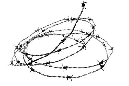 Barbed wire, close-up - 03359CS-U