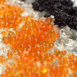 Red and black caviar on crushed ice, close-up - WESTF00783