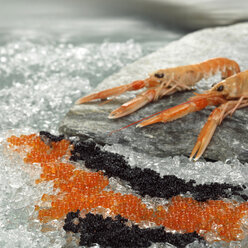 Prawns and red and black caviar on ice - WESTF00781