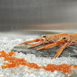 Prawns and trout caviar on crushed ice, close-up - WESTF00780