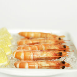 Prawns with lemon slices on crushed ice, close-up - WESTF00757