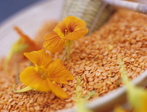 Nasturtium and lentils in bowl, elevated view, close-up stock photo