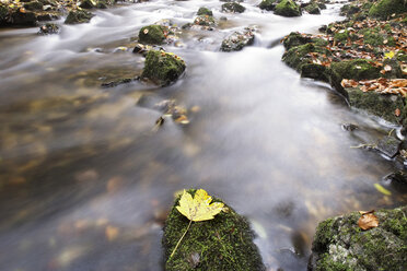 Über Felsen fließendes Wasser im Herbst - WWF00055