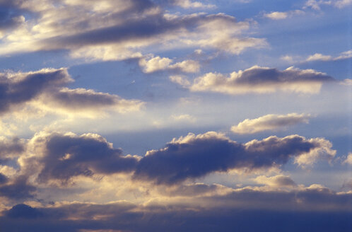 Wolken am Himmel, niedriger Blickwinkel - THF00257