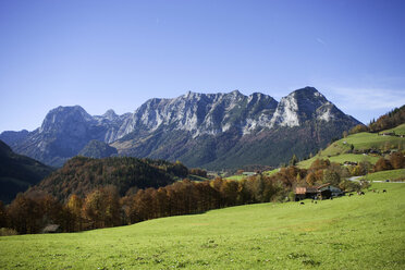 Deutschland, Bayern, Ansicht einer Landschaft - WW00139