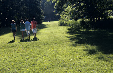 Vier junge Leute gehen im Park spazieren, Rückansicht - WESTF01195