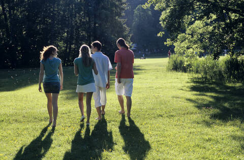 Vier junge Leute gehen im Park spazieren, Rückansicht, lizenzfreies Stockfoto