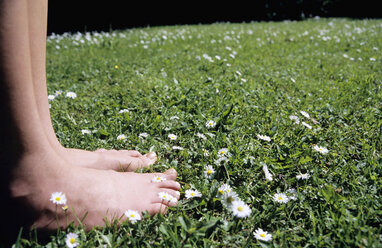 Feet on grass with daisies, focus on the foreground - WESTF01142