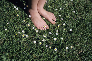 Feet on grass with daisy flowers, close-up - WESTF01141