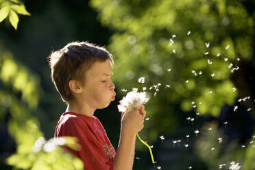 Boy (6-7) blowing seed pod, close-up - WWF00038