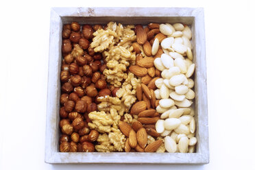 Different kinds of nuts - 03554CS-U