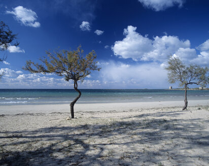 Italien, Apulien, Strand mit Baum - MOF00084