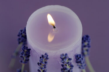 Brennende Lavendelkerze - ASF02293