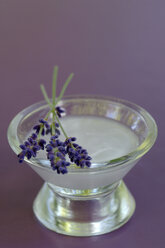 Lavendel-Salbe - ASF02292