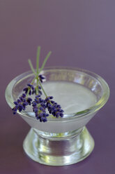 Lavender salve - ASF02292