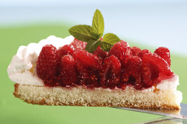 Piece of raspberry-meringue cake - 03935CS-U