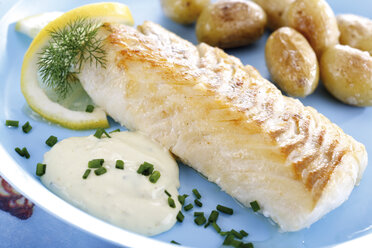 Codfish and remolade with roast potatoes, close-up - 04004CS-U