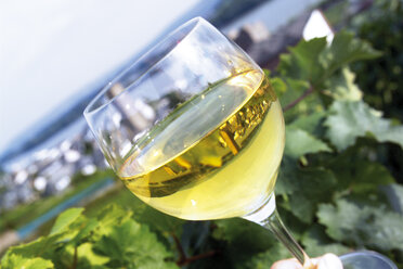 Winetasting, glass of white wine - 04093CS-U