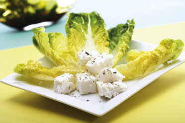 Romana-Salat mit Feta-Käse - 04043CS-U