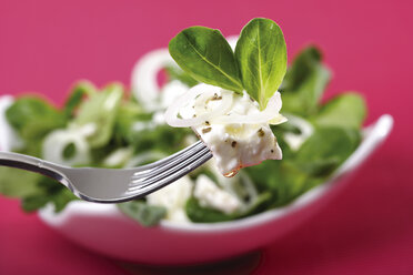 Feldsalat mit Feta-Käse - 04038CS-U