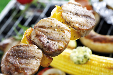 Meat, sausage and vegetables on grill - 09696CS-U