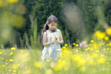 Mädchen mit Blumenstrauß auf einer Sommerwiese - WESTF01413